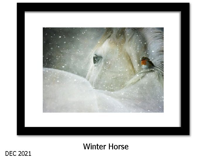 Winter Horse Wall Art Print